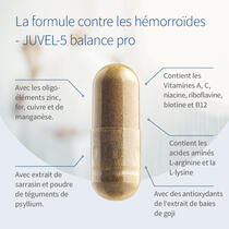 JUVEL-5 balance pro image d’aperçu 3