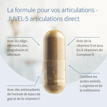 JUVEL-5 articulations direct image d’aperçu 3